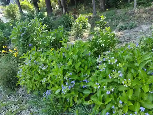 豊景神社(福島県)
