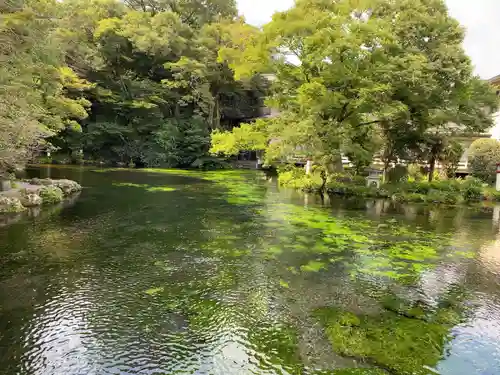 富士山本宮浅間大社の庭園