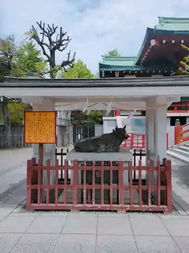 亀戸天神社の狛犬