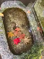 法然院の手水舎