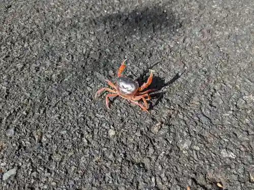 松尾寺(京都府)