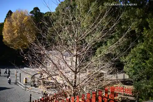 鶴岡八幡宮の自然