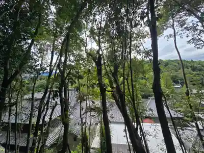 瀧谷不動尊 明王寺(大阪府)