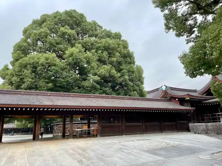 明治神宮(東京都)