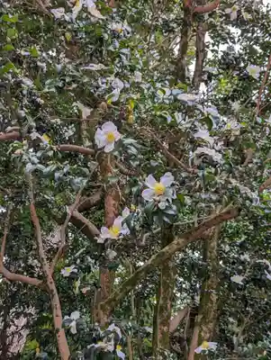 八大神社の自然