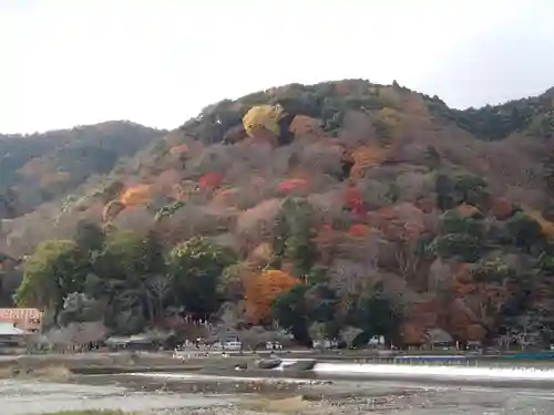 櫟谷宗像神社（松尾大社摂社）の景色