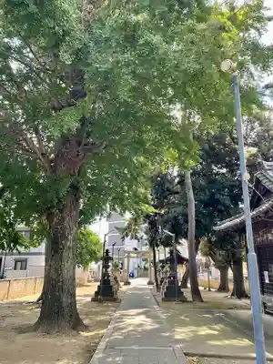 柴又八幡神社(東京都)