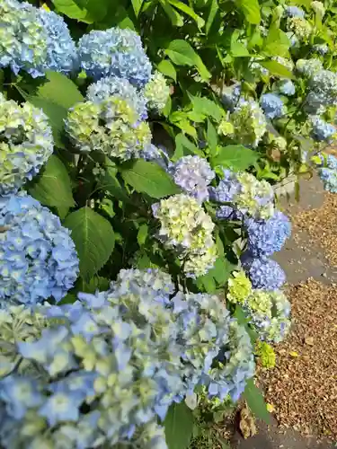 厚別神社の自然