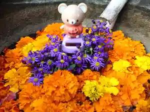 真言宗 善通寺派 薬王寺の手水舎(2022年10月30日(日) 09時22分24秒投稿)