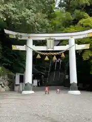 宝登山神社(埼玉県)