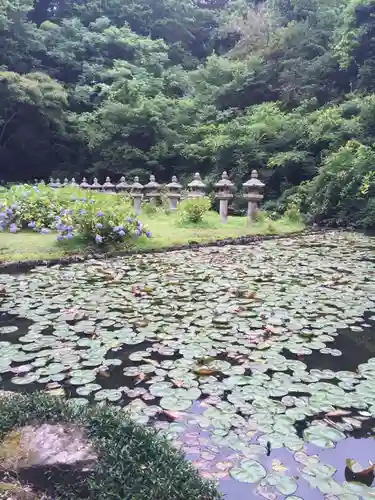 月照寺の庭園