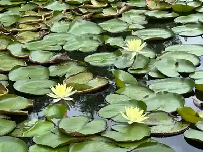 江田神社(宮崎県)