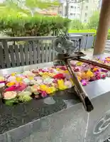 熊野神社(東京都)