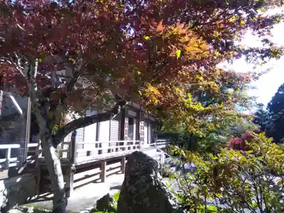 古知谷阿弥陀寺(京都府)