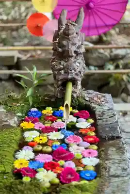 柳津虚空蔵尊 寳性院の{uncategorized: "未分類", other: "その他", undefined: "問題あり", building: "その他建物", grave: "お墓", sacred_gate: "鳥居", guardian: "狛犬", statue: "像", buddha: "仏像", history: "歴史", nature: "自然", garden: "庭園", animal: "動物", pagoda: "塔", temizu: "手水舎", mountain_gate: "山門・神門", sanctuary: "本殿・本堂", subordinate: "末社・摂社", art: "芸術", scenery: "景色", jizo: "地蔵", ema: "絵馬", goshuin: "御朱印", omikuji: "おみくじ", items: "授与品その他", amulet: "お守り", goshuincho: "御朱印帳", eats: "食事", festival: "お祭り", votive_dance: "神楽", shichigosan: "七五三参", wedding: "結婚式", experience: "体験その他", initially: "初詣", around: "周辺", anti_infection: "感染症対策"}