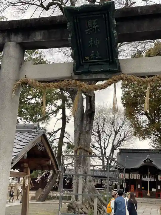 縣神社(京都府)