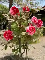 金蛇水神社の{uncategorized: "未分類", other: "その他", undefined: "問題あり", building: "その他建物", grave: "お墓", sacred_gate: "鳥居", guardian: "狛犬", statue: "像", buddha: "仏像", history: "歴史", nature: "自然", garden: "庭園", animal: "動物", pagoda: "塔", temizu: "手水舎", mountain_gate: "山門・神門", sanctuary: "本殿・本堂", subordinate: "末社・摂社", art: "芸術", scenery: "景色", jizo: "地蔵", ema: "絵馬", goshuin: "御朱印", omikuji: "おみくじ", items: "授与品その他", amulet: "お守り", goshuincho: "御朱印帳", eats: "食事", festival: "お祭り", votive_dance: "神楽", shichigosan: "七五三参", wedding: "結婚式", experience: "体験その他", initially: "初詣", around: "周辺", anti_infection: "感染症対策"}
