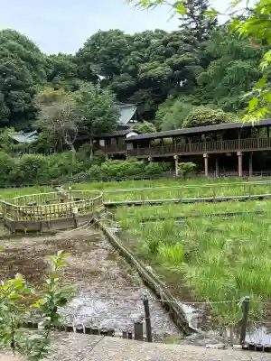 本土寺の{uncategorized: "未分類", other: "その他", undefined: "問題あり", building: "その他建物", grave: "お墓", sacred_gate: "鳥居", guardian: "狛犬", statue: "像", buddha: "仏像", history: "歴史", nature: "自然", garden: "庭園", animal: "動物", pagoda: "塔", temizu: "手水舎", mountain_gate: "山門・神門", sanctuary: "本殿・本堂", subordinate: "末社・摂社", art: "芸術", scenery: "景色", jizo: "地蔵", ema: "絵馬", goshuin: "御朱印", omikuji: "おみくじ", items: "授与品その他", amulet: "お守り", goshuincho: "御朱印帳", eats: "食事", festival: "お祭り", votive_dance: "神楽", shichigosan: "七五三参", wedding: "結婚式", experience: "体験その他", initially: "初詣", around: "周辺", anti_infection: "感染症対策"}
