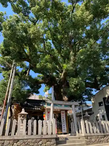 粉河寺の鳥居