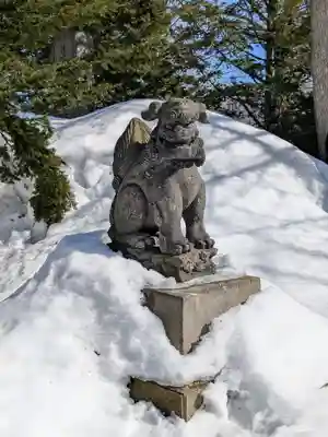 新琴似神社の狛犬