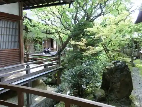 禅林寺（永観堂）の庭園