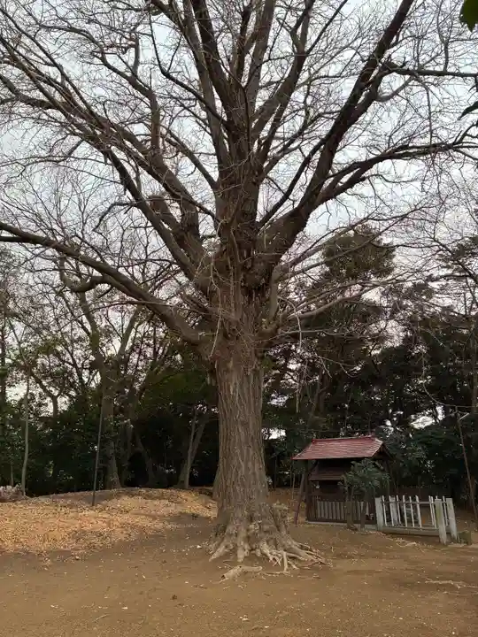 唱行寺(千葉県)