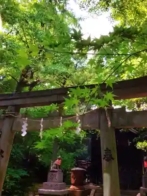 赤坂氷川神社(東京都)