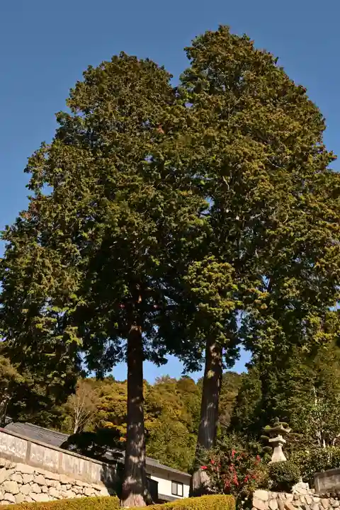 満願寺(愛媛県)