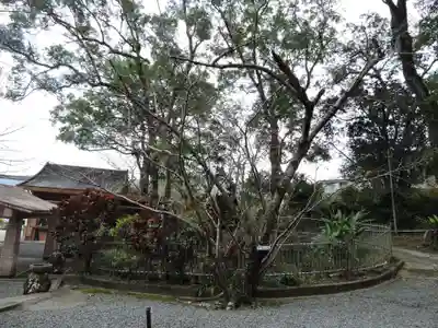 高千穂神社(鹿児島県)