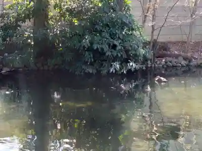 廣瀬神社(埼玉県)