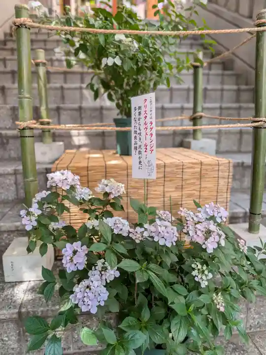 十番稲荷神社(東京都)