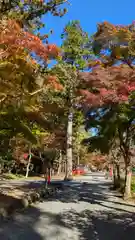 大原野神社(京都府)