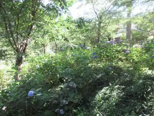 三千院門跡の自然