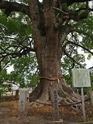 白鳥神社(香川県)
