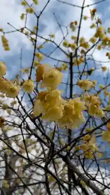惠心院（恵心院）(京都府)