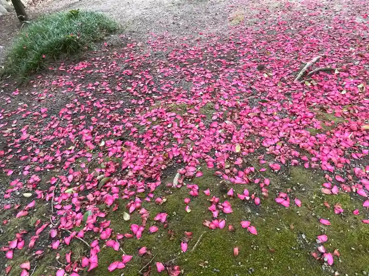 白金龍王社の{uncategorized: "未分類", other: "その他", undefined: "問題あり", building: "その他建物", grave: "お墓", sacred_gate: "鳥居", guardian: "狛犬", statue: "像", buddha: "仏像", history: "歴史", nature: "自然", garden: "庭園", animal: "動物", pagoda: "塔", temizu: "手水舎", mountain_gate: "山門・神門", sanctuary: "本殿・本堂", subordinate: "末社・摂社", art: "芸術", scenery: "景色", jizo: "地蔵", ema: "絵馬", goshuin: "御朱印", omikuji: "おみくじ", items: "授与品その他", amulet: "お守り", goshuincho: "御朱印帳", eats: "食事", festival: "お祭り", votive_dance: "神楽", shichigosan: "七五三参", wedding: "結婚式", experience: "体験その他", initially: "初詣", around: "周辺", anti_infection: "感染症対策"}