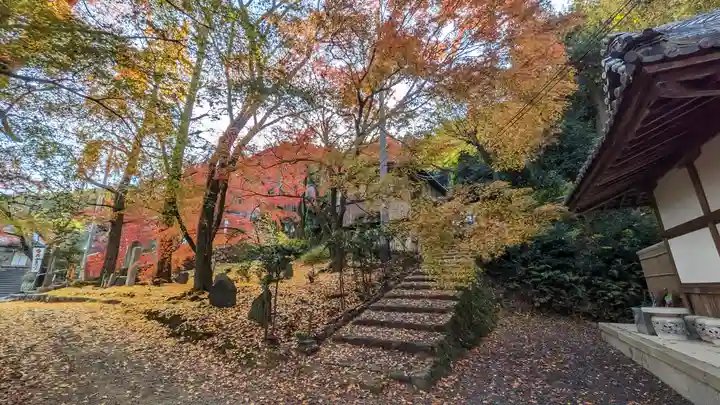 岩屋寺(京都府)