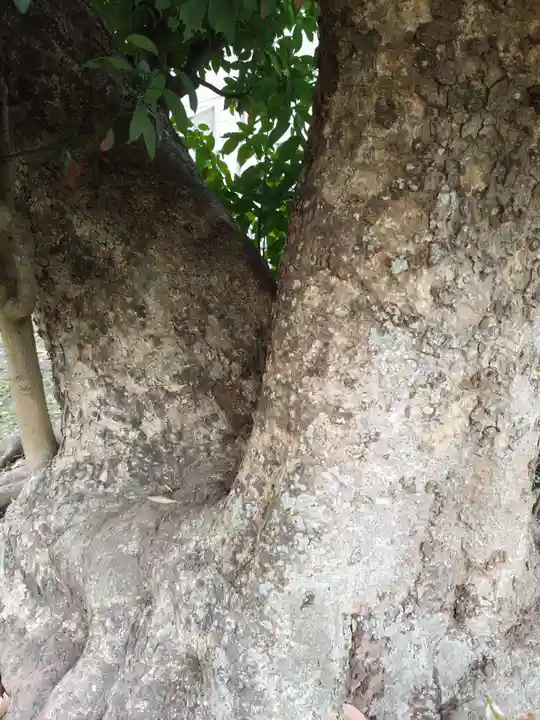 巽神社(神奈川県)