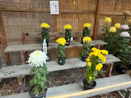 諏訪大社下社秋宮(長野県)