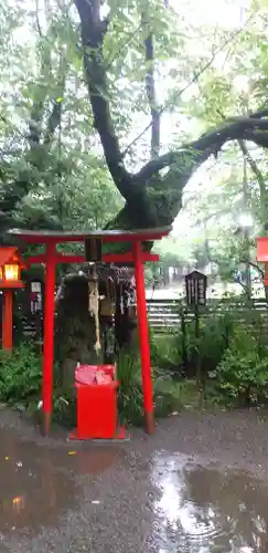 冠稲荷神社の自然
