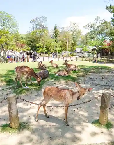 東大寺(奈良県)