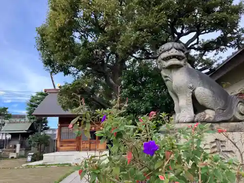 高砂天祖神社の狛犬