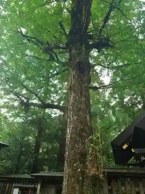 天岩戸神社(宮崎県)