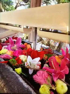 鳩森八幡神社の手水舎