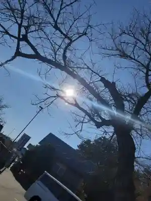 菅原神社(東京都)
