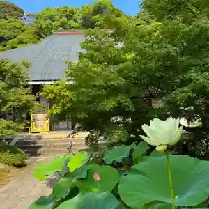伊勢の国 四天王寺(三重県)(2025年07月01日(火) 09時32分42秒投稿)