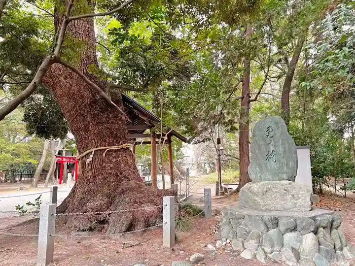 蒲神明宮の自然