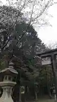大原野神社(京都府)