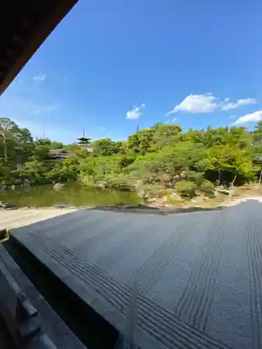 仁和寺の庭園