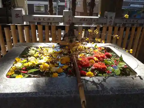 高円寺氷川神社(東京都)